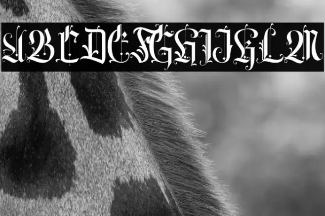 Volantis Regular Font examples