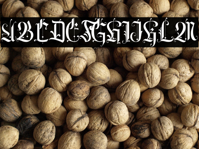 Volantis Regular Example 2