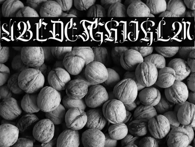 Volantis Regular Font examples