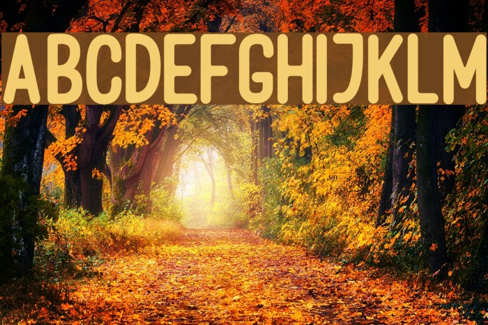 Volaroid Sans Example 2