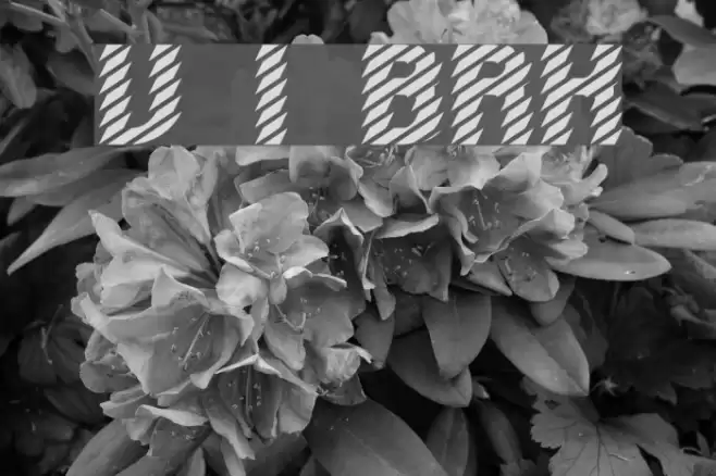 Volatile 1 BRK Font examples