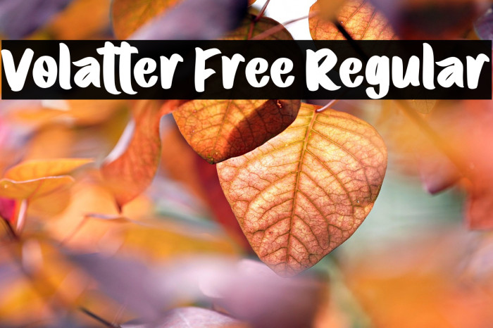 Volatter Free Regular Example 3