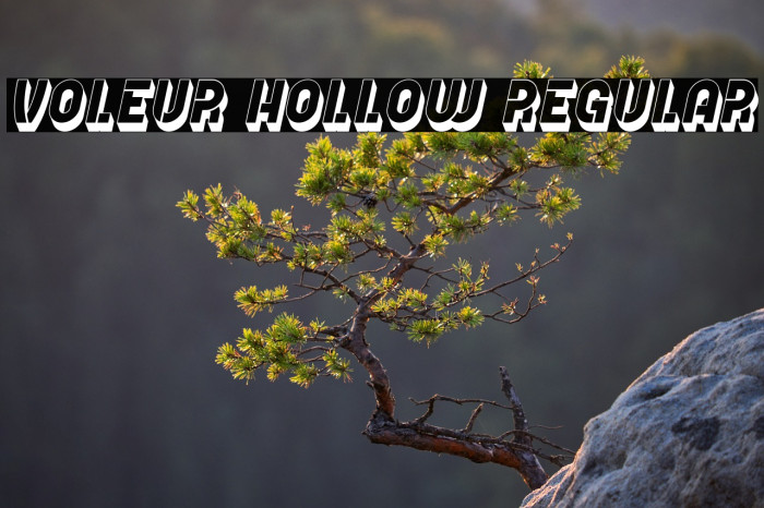 Voleur Hollow Regular Example 1