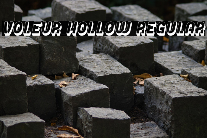 Voleur Hollow Regular Example 2