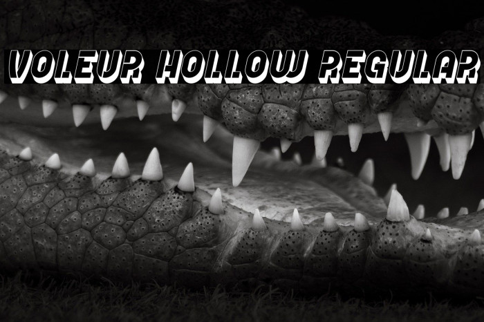 Voleur Hollow Regular Example 3