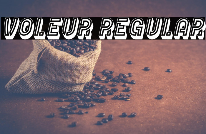 Voleur Regular Example 3