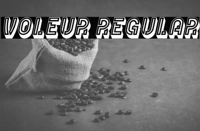Voleur Regular Font examples