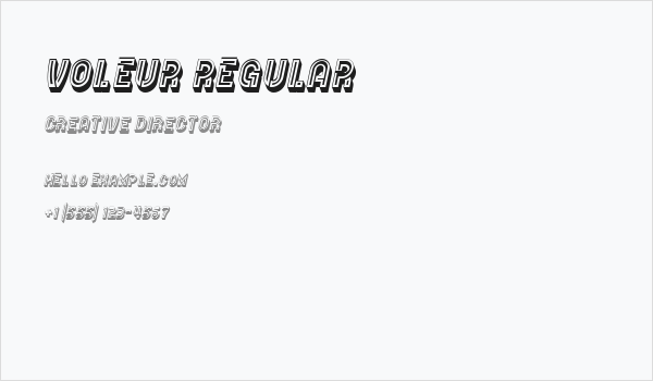 Voleur Regular Business Card