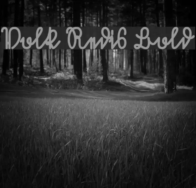 Volk Redis Bold Font examples