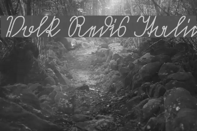 Volk Redis Italic Font examples