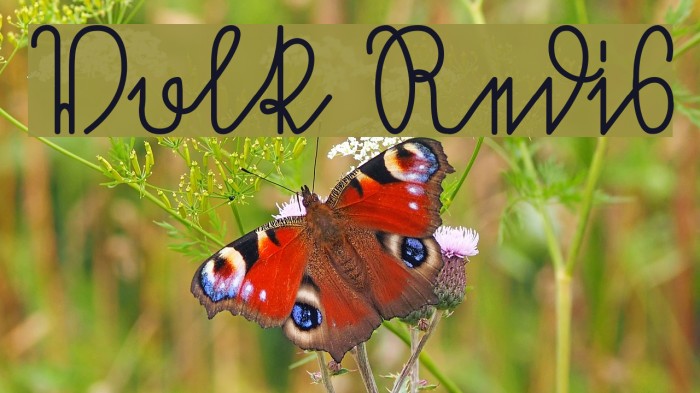 Volk Redis Example 2