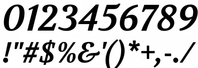 Volkhov Bold Italic Font OTHER CHARS