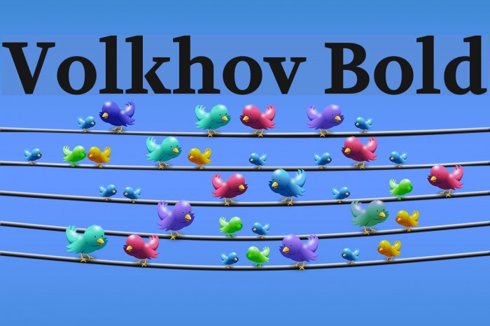 Volkhov Bold Font examples