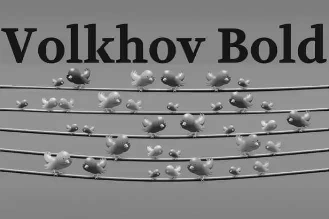 Volkhov Bold  examples