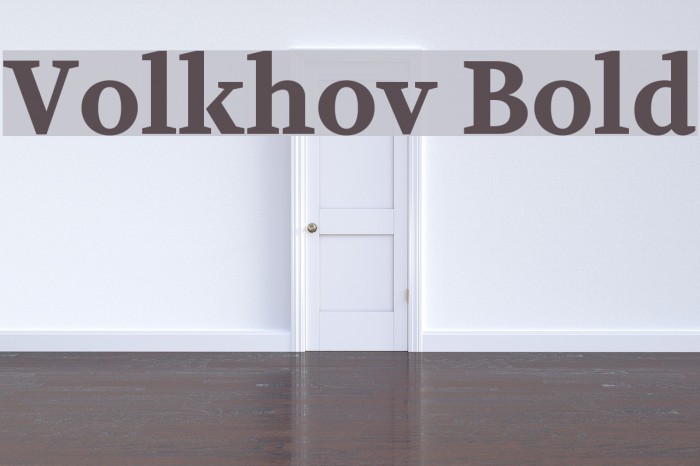 Volkhov Bold Font examples