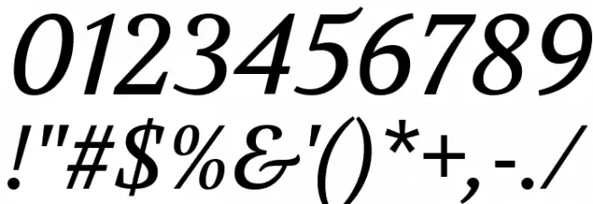 Volkhov Italic Font OTHER CHARS