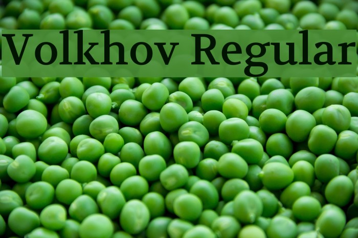 Volkhov Regular Font examples