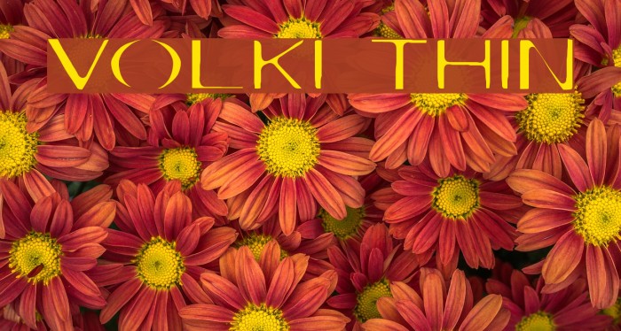 Volki Thin Font examples