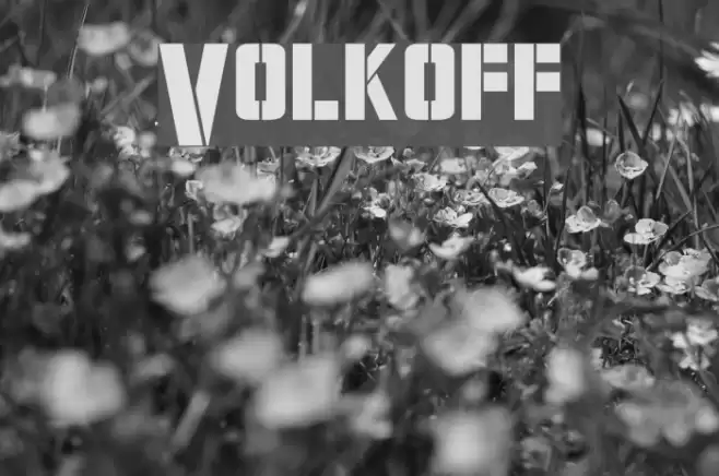 Volkoff フォント examples