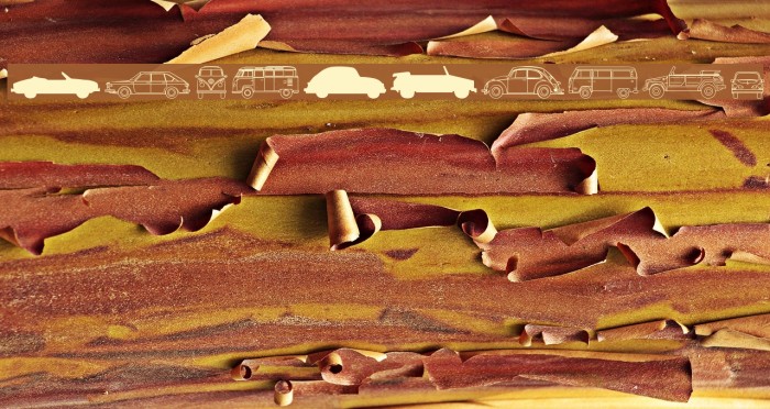 Volkswagen Example 1