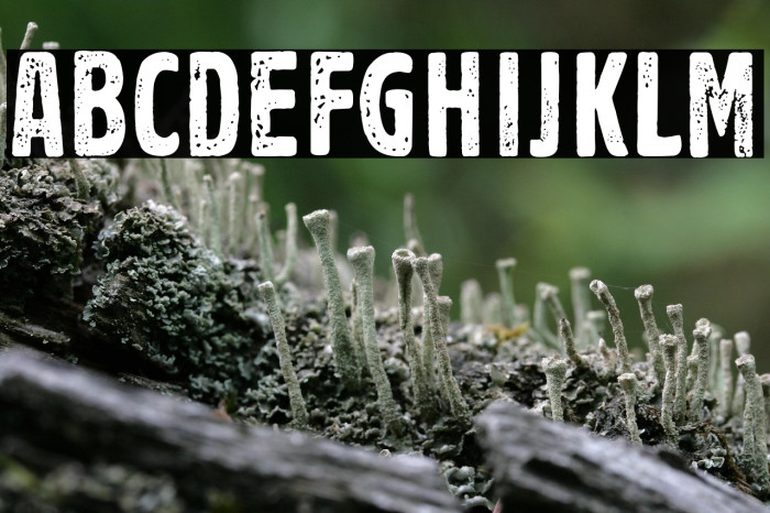 Volkszeitung 21 Example 1