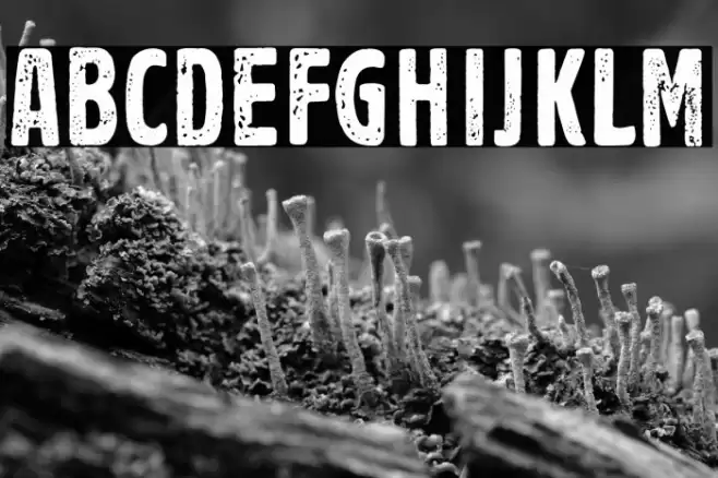 Volkszeitung 21 Font examples