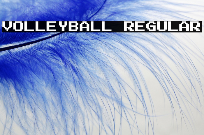 Volleyball Regular Example 2