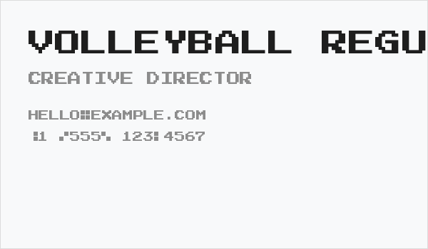 Volleyball Regular Business Card