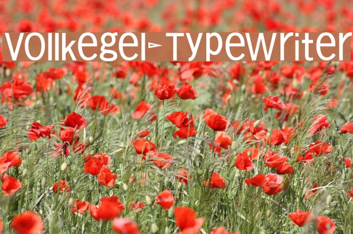 Vollkegel-Typewriter Font examples