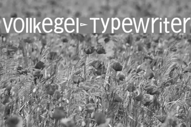 Vollkegel-Typewriter Font examples
