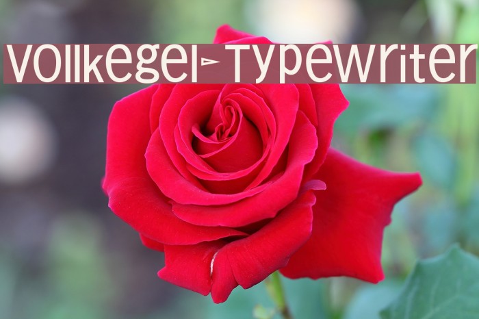 Vollkegel-Typewriter Font examples