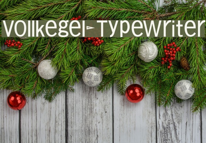 Vollkegel-Typewriter Font examples