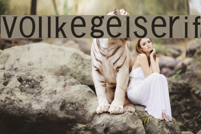 VollkegelSerif Font examples