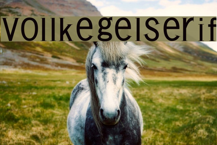 VollkegelSerif Font examples