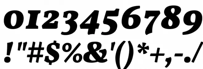 Vollkorn Black Italic Font OTHER CHARS