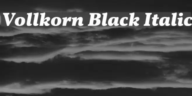 Vollkorn Black Italic Font examples