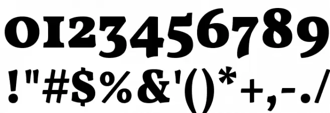 Vollkorn Black Font OTHER CHARS