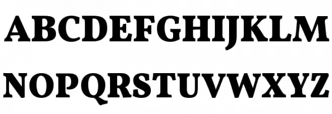 Vollkorn Black Font Litere mari