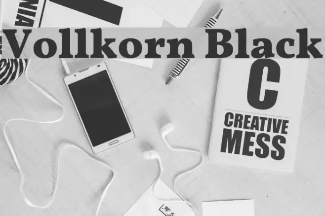 Vollkorn Black Font examples