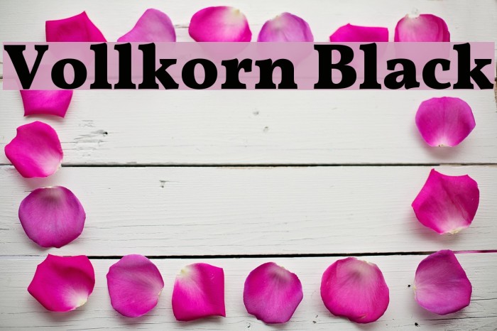 Vollkorn Black Example 2