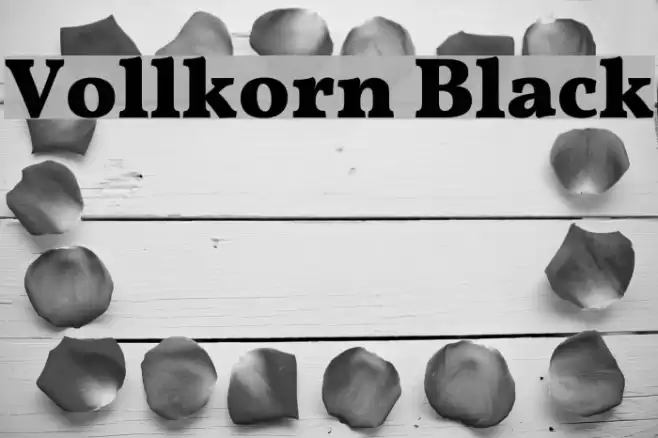 Vollkorn Black Font examples