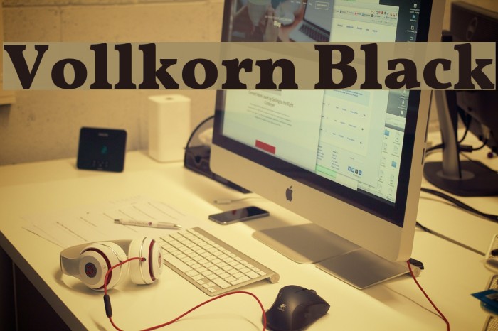 Vollkorn Black Example 3