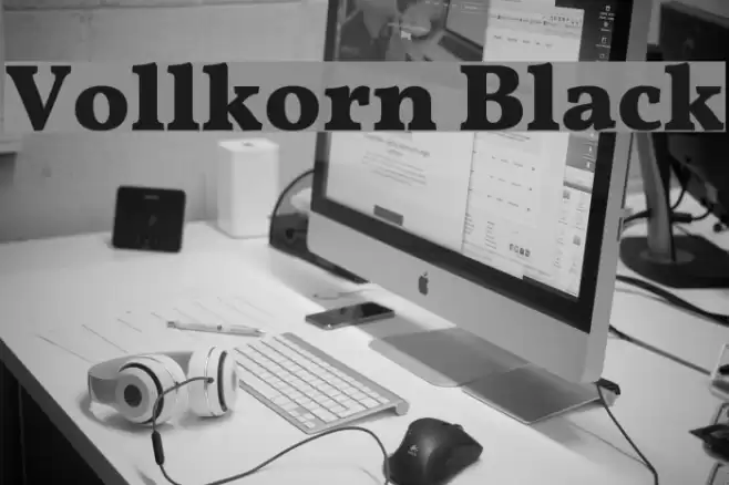 Vollkorn Black Font examples