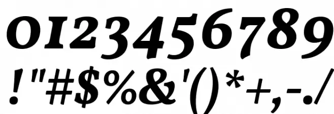 Vollkorn Bold Italic Font OTHER CHARS