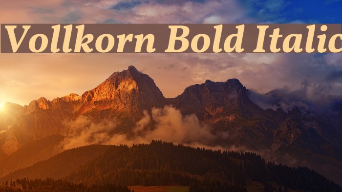 Vollkorn Bold Italic Font examples