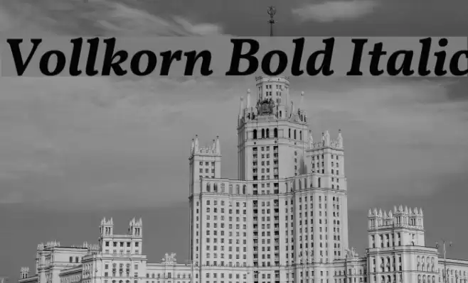 Vollkorn Bold Italic Font examples