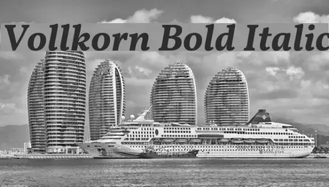 Vollkorn Bold Italic Font examples