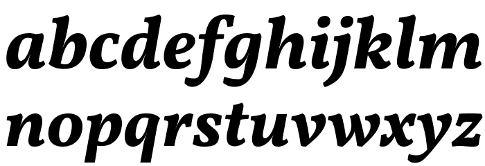 Vollkorn Bold Italic Font LOWERCASE
