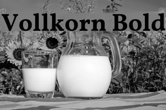 Vollkorn Bold Polices examples