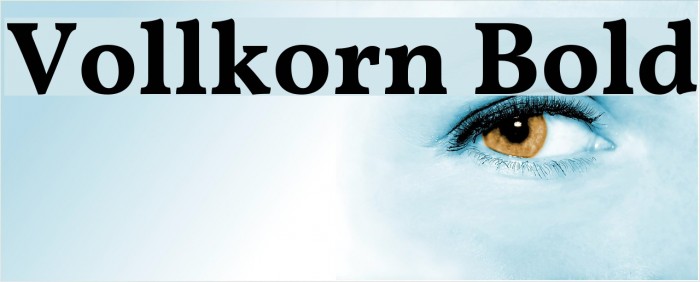 Vollkorn Bold Schriftart examples